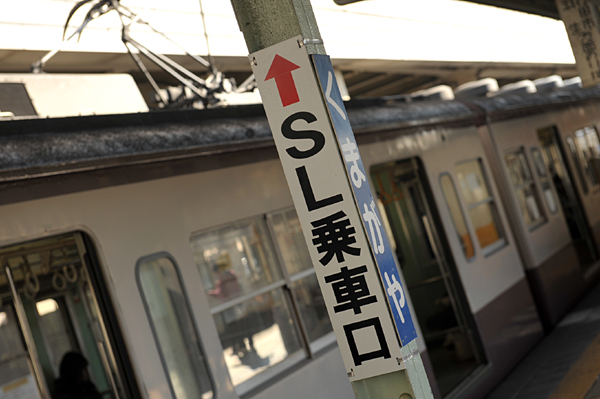 111117 5 DSC_7508.jpg